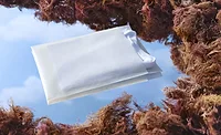 Sway Polybag made from TPSea-Flex
