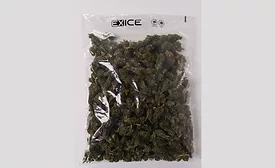 ExIce Grove.png