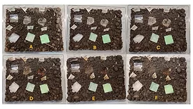 Image showing experiments on the degradation of different plastic materials. 