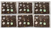 Image showing experiments on the degradation of different plastic materials. 
