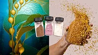 Sway-Umaro-DOE Image showing products that can be created from seaweed