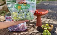 Sunrays packaging.png