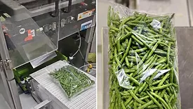 Image showing a bulk modified-atmosphere package of green beans coming off the packaging line.