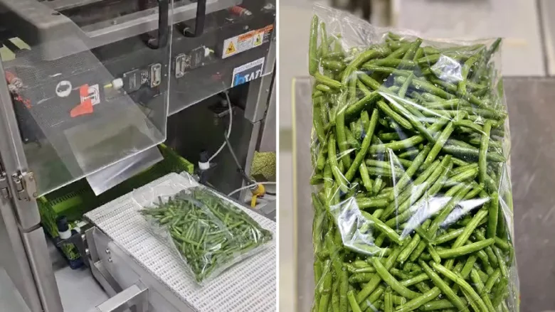 Image showing a bulk modified-atmosphere package of green beans coming off the packaging line.