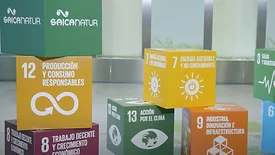Image of packages featuring Saica’s Saica Natur logo.