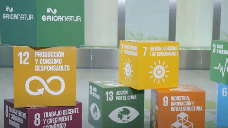 Image of packages featuring Saica’s Saica Natur logo.