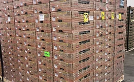 Dole Oxifilm® recyclable stretch film wrapped around a pallet of fruit packages.