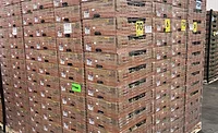 Dole Oxifilm® recyclable stretch film wrapped around a pallet of fruit packages.