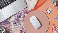 Image of a computer mouse