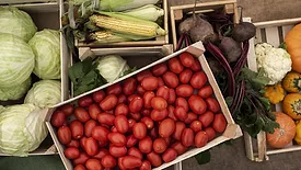 Fresh produce in field crates