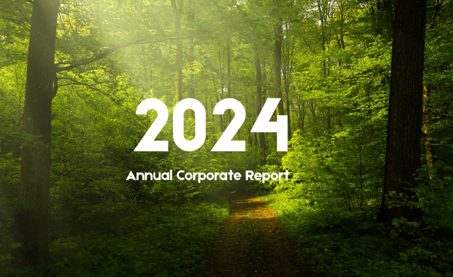 Acredo 2024 Annual Corporate Report with a forest background