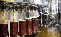 Coca-Cola-bottles-on-SIdel-line.png