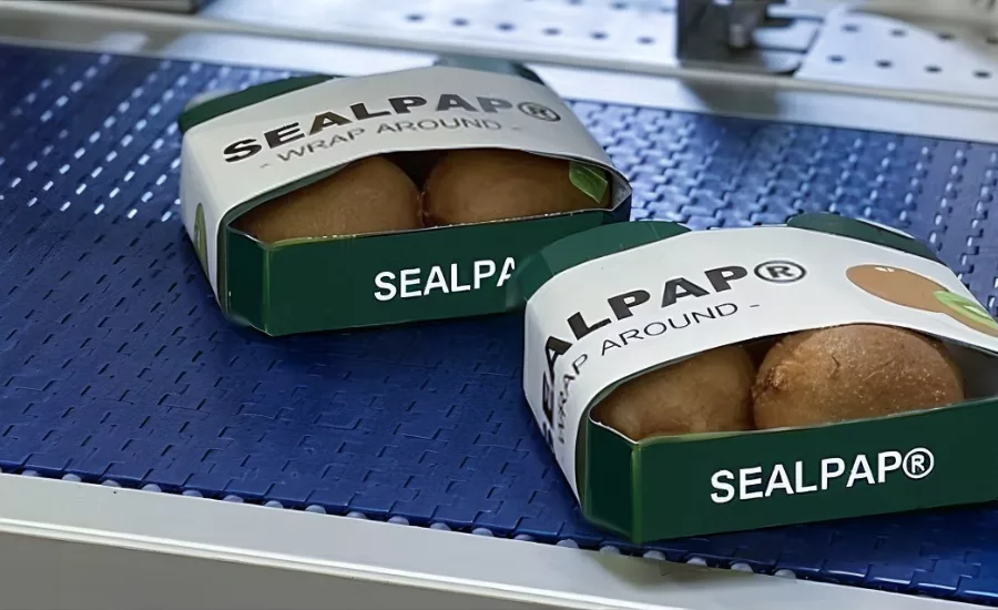 SEALPAP-Wraparound.png