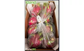 StePacPPC-Xtend-Dragon-Fruit.png