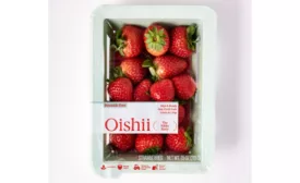 Oishii-Nikko-Berry-packaging.png