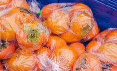 Image of persimmons fruit in plastic packaging