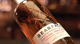bear