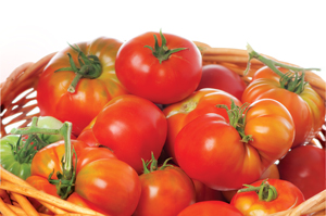red bundle tomatoes ripe
