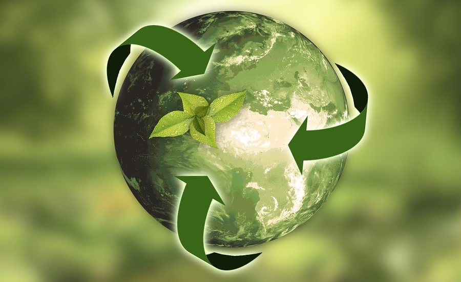 Packaging Sustainability Main Image