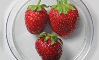 Fresh strawberries packaged in a silk fibroin coating