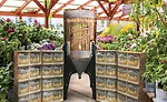Seedlingers1 corrugated crate