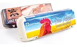 Brodrene Harmann A/S brings sustainable egg cartons to the U.S.