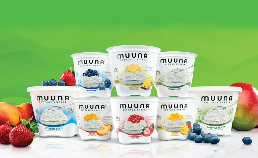 Muuna's flavored cottage cheese cups