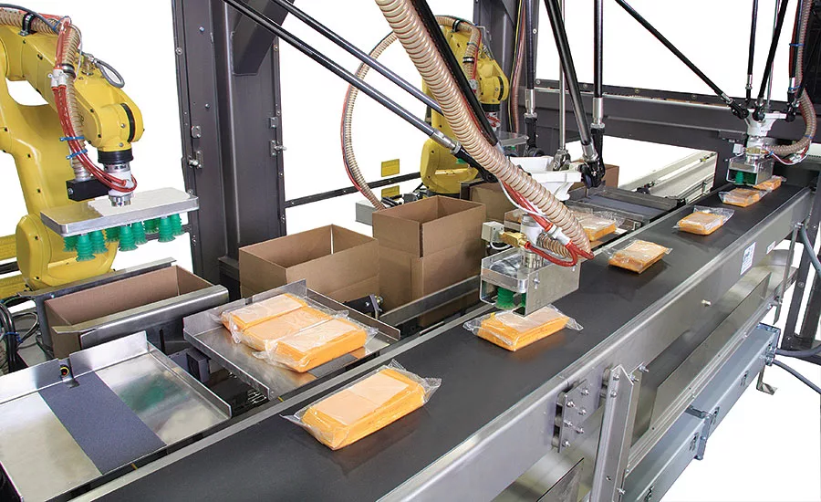 A vision-guided top load case packer with dual multi-axis robots