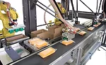 A vision-guided top load case packer with dual multi-axis robots