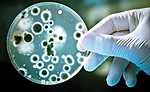 Corrugated packaging helps prevent micro-biological contamination