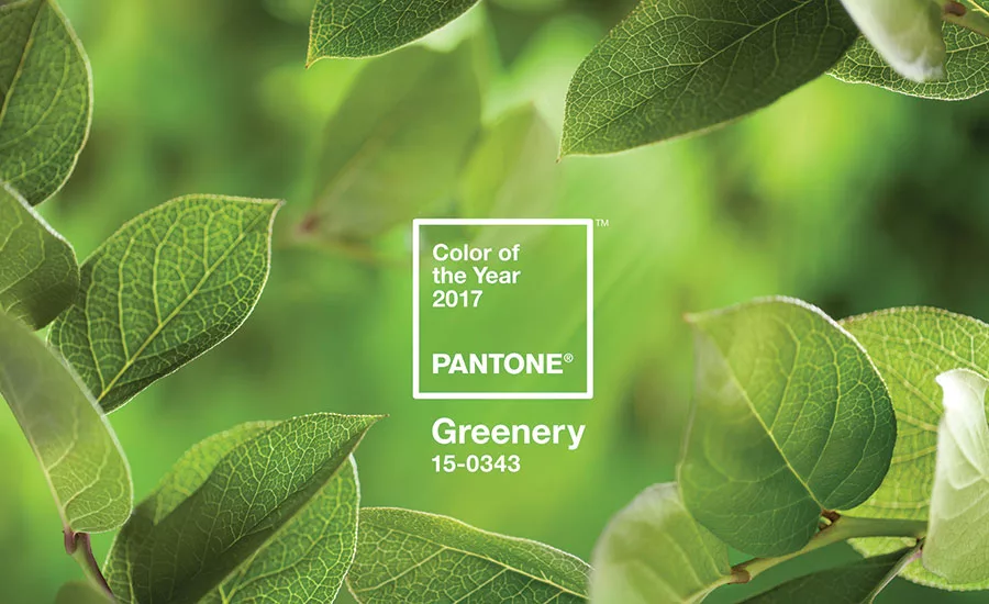 PANTONE Color of the Year is Greenery 15-0343