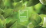 PANTONE Color of the Year is Greenery 15-0343