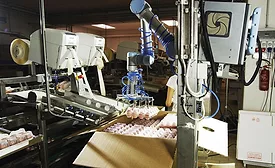 Cascina Italia S.p.A., automated egg handling