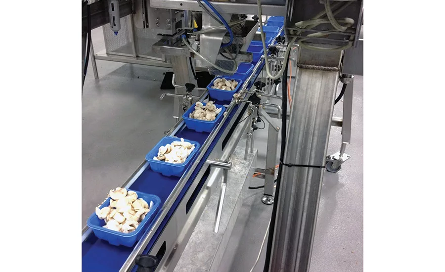 True sanitary conveyors