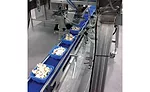 True sanitary conveyors