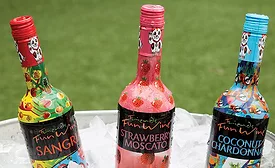 Friends Fun Wine bottle and can wines