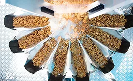flexible bag machine systems