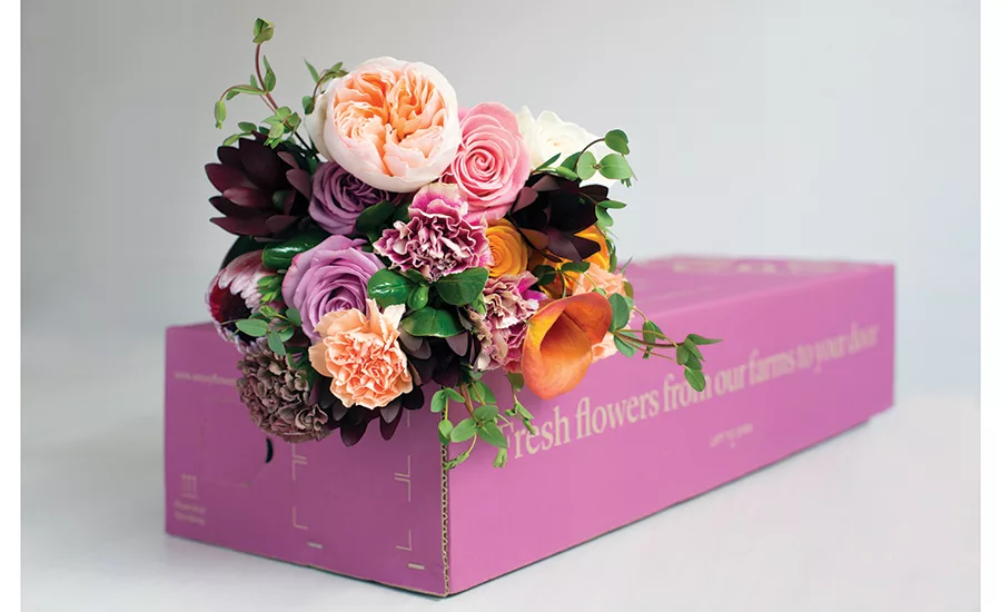 Driving E-Commerce Growth Through Sustainable Packaging