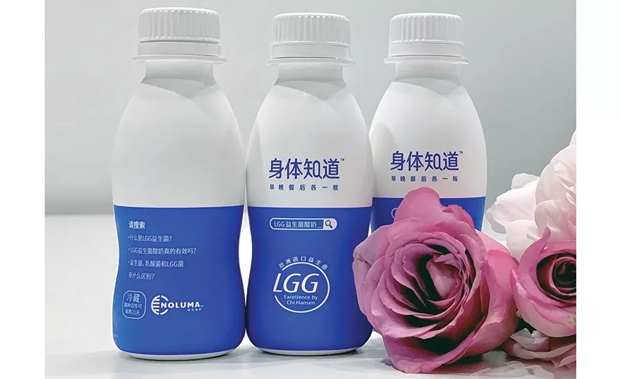 Honest Dairy’s Body Knows probiotic yogurt