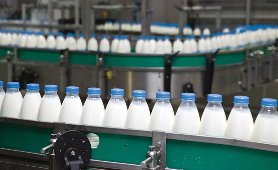 Milk is the most popular dairy product