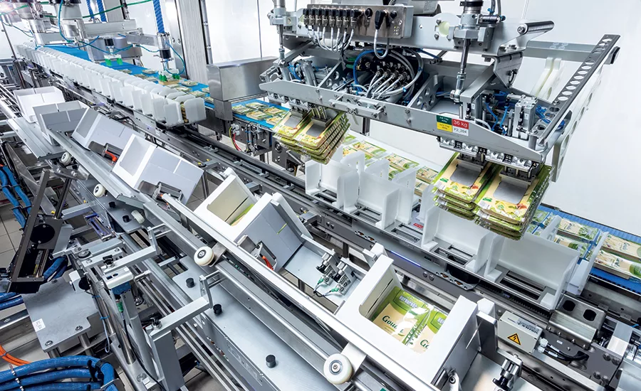 Schubert machine carton blister counting