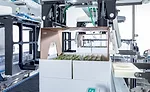 blisters inserted through carton cut-outs