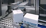 low-level palletizers