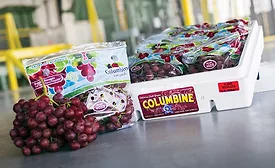 grape Packaging