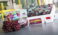 grape Packaging