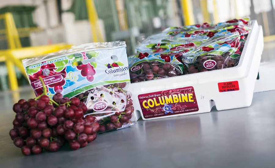 grape Packaging