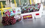 grape Packaging