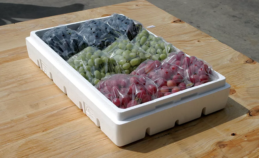 expanded polystyrene packaging