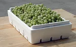 EPS boxes