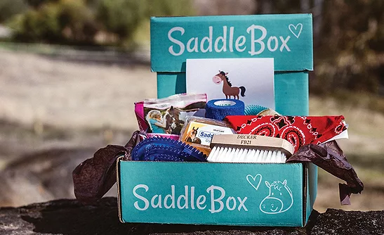 Saddlebox Subscription services